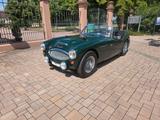 Austin Healey MK II - Austin Healey Oldtimer