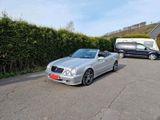 Mercedes-Benz CLK Cabriolet 230 Kompressor 197PS - Mercedes-Benz 230: Kompressor
