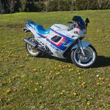 Suzuki GSX600F - Offers