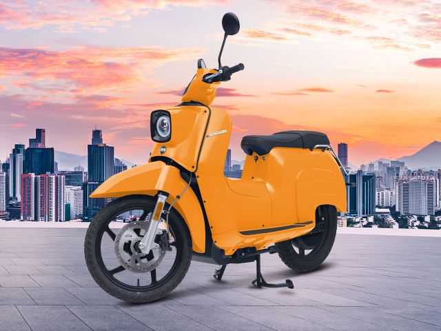 Govecs eSchwalbe L1e 1st Edition !Aktionspreis!