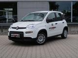 Fiat Pandina 1,0 GSE Klimaanlage PDC M+S - Fiat Panda Pandina mit Hybrid-Antrieb (Benzin/Elektro)