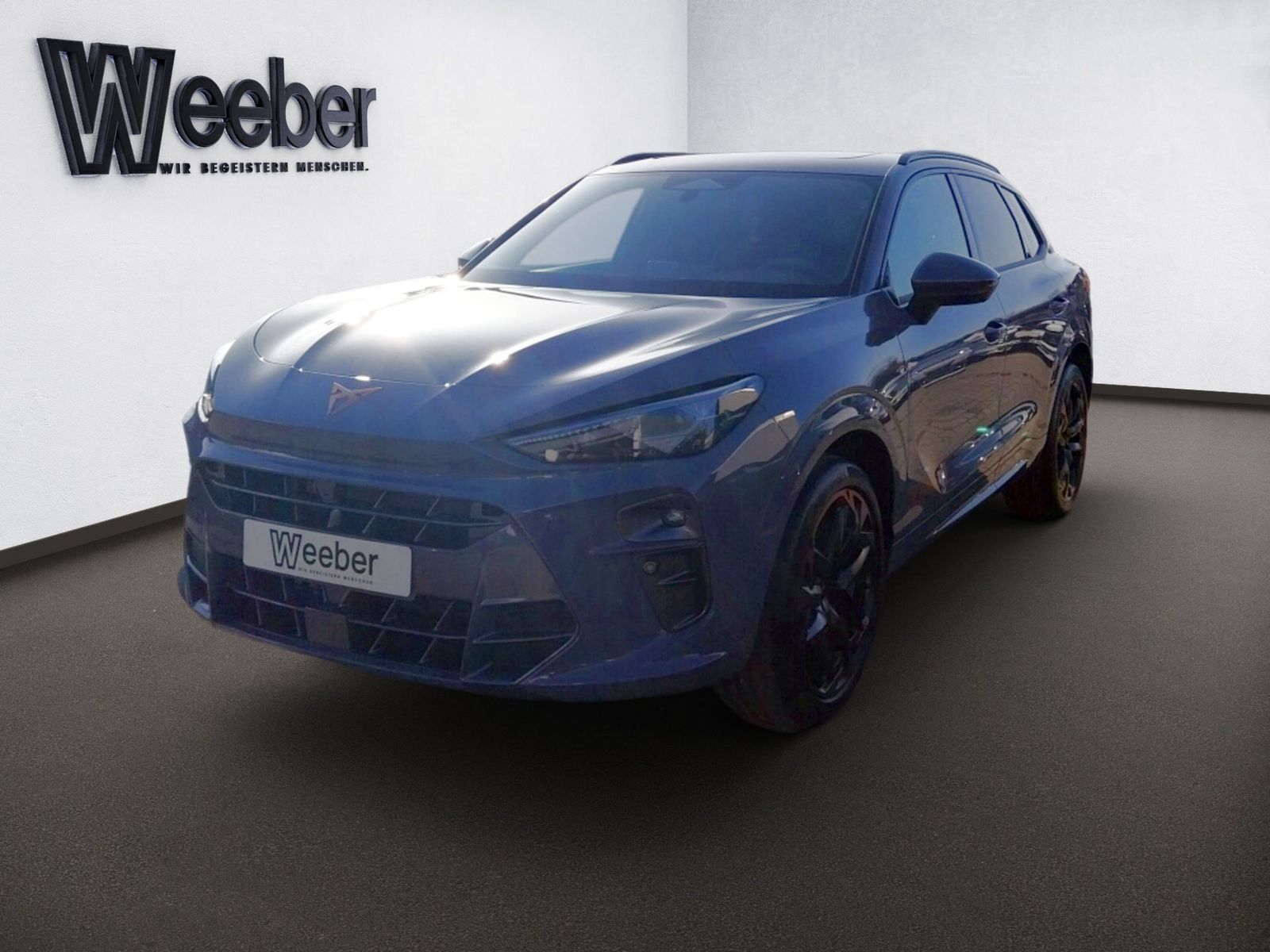 Cupra Terramar VZ 2.0 TSI 7-Gang DSG 4Drive Akebono 6- imagem 2
