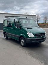 Mercedes-Benz Mercedes Sprinter 313 CDI, LKW Zulassung ,... - Mercedes-Benz Sprinter: Lkw