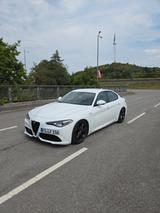 Alfa Romeo Giulia 2.0 Turbo 16V 206 kW AT8-Q4 Veloce Veloce - Alfa Romeo: Weiß