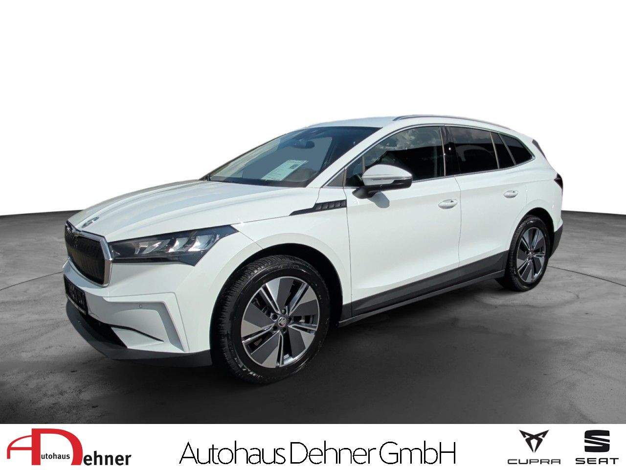 Skoda Enyaq Selection 85x ALLRAD+ACC+TOTW+RKAM+WÄPU