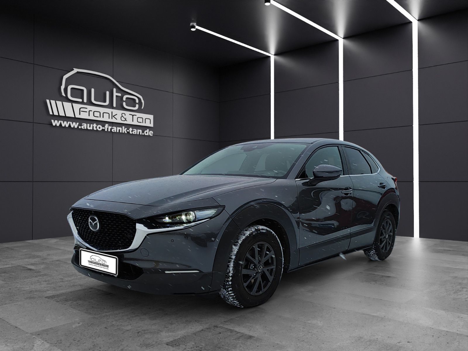 Fahrzeugabbildung Mazda CX-30Matrix*Bose*360°Cam*CarPlay*Head-Up*