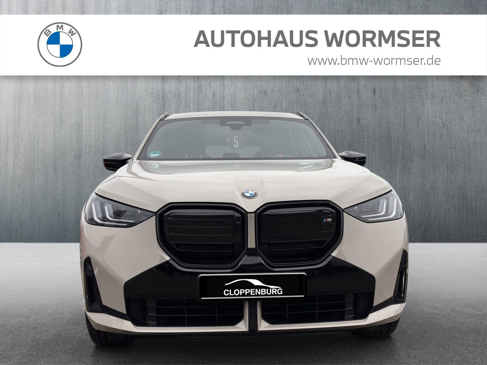 BMW X3 M50 - Bild 8