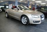 Audi A5 Cabrio 2.0 TDI DPF - Audi A5 aus 2011: Roadster