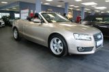 Audi A5 Cabrio 2.0 TDI DPF - Audi A5 aus 2011: Cabrio