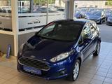 Ford Fiesta 1.3 2.Hand PDC V+H LM-Allwetterr SHZ 5Tür - Ford Fiesta: 1.3