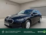 Skoda Octavia 1.5 TSI mHEV Essence *SHZ*KESSY*AHK* LED - Skoda Octavia Neuwagen in Bremen