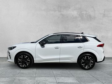 Cupra Terramar - 2