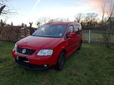 Volkswagen Caddy Maxi  TDI 1.9     8 fach bereift - Volkswagen Caddy Maxi aus 2009
