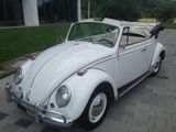 Volkswagen Käfer Cabrio