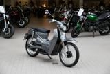 Motron Cubertino, 50er Roller, sofort lieferbar - MOTRON CUBERTINO