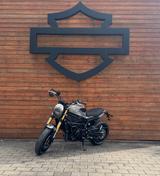 Benelli 800 Leoncino Leo Vince Auspuff - BENELLI LEONCINO