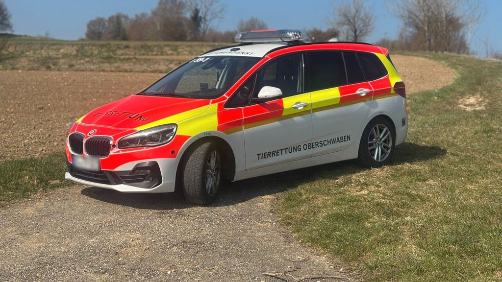 Image of BMW 220 Gran Tourer
