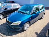 Skoda Fabia Active - Skoda Fabia Gebrauchtwagen in Oldenburg