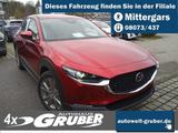 Mazda CX-30 e-SKYACTIV G Centre-line DESIGN-Paket - Mazda CX-30: Centre Line