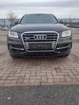 Audi SQ5 3.0 TDI tiptronic quattro - - Audi SQ5 in Hannover