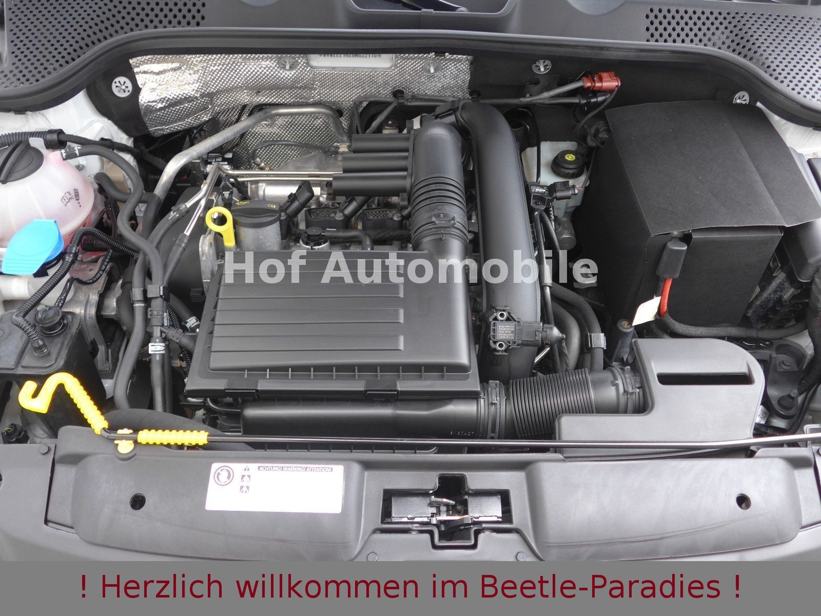 Volkswagen Beetle 1.2TSI Allstar Plus Xenon Leder Fender foto 24