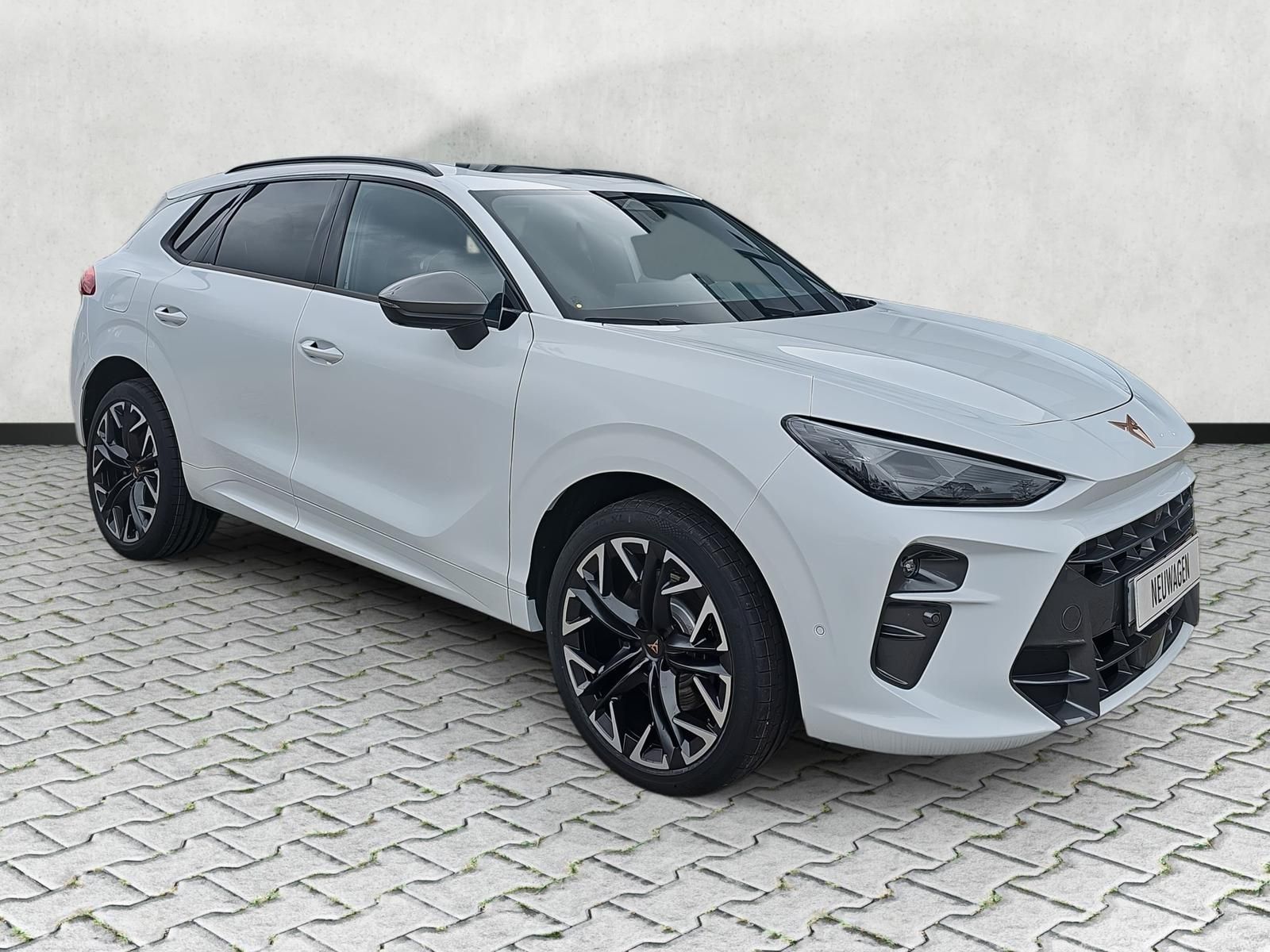 Cupra Terramar VZ 2.0 TSI DSG 4Drive Navi / AHK / Pano imagem 2