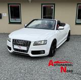 Audi S5 Cabrio  3.0 TFSI quattro Leder Carplay B&O - Audi S5 mit Benzin-Antrieb