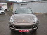 Porsche Cayenne Basis - Porsche Cayenne mit Benzin-Antrieb