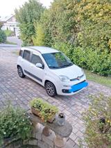 Fiat Panda in weiß - Fiat Panda in Freiburg