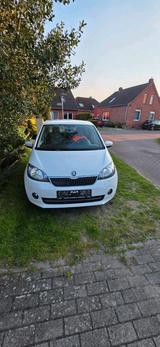 Skoda scoda citigo Tüv neu - Skoda Octavia: Kleinwagen