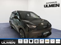 BYD Dolphin Surf 115KW Comfort Leder Navi Sitzheizun