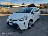 Toyota Prius+ 1.8 Lounge 7 posti solo 75 mila km - Toyota mit Hybrid-Antrieb: Kleinbus