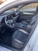 Cupra Formentor 2.0 TSI 228kW 4Drive DSG - - Cupra Formentor von privat