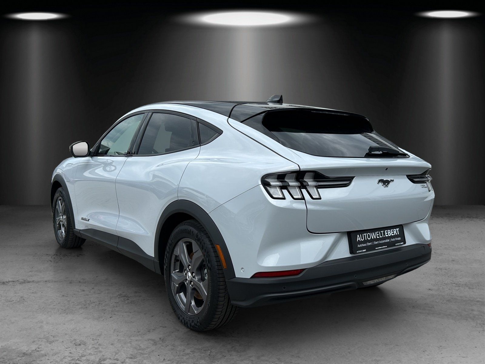 Fahrzeugabbildung Ford Mustang MACH-E Navi Leder Panodach