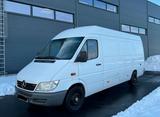 Mercedes-Benz Mercedes Benz Sprinter 313CDI Maxi lang TÜ... - Mercedes-Benz Sprinter aus 2005: 313