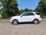 Mercedes-Benz ML 250 BlueTEC 4MATIC - - Mercedes-Benz ML 250 in Düsseldorf