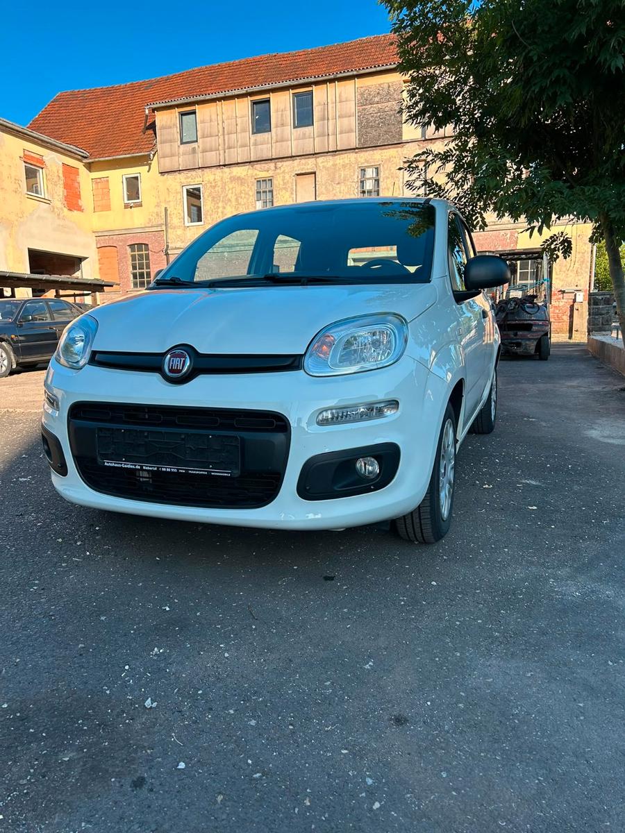 Fiat Panda Easy - Klima - 1 Hand - TÜV neu