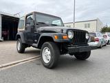 Jeep Wrangler TJ 2.5 4x4 Hardtop - Jeep Wrangler in Bochum