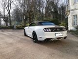 Ford Mustang 2.3 EcoBoost - - Ford Mustang in Frankfurt (Main)