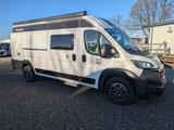 Chausson Road Line V690 VIP 140PS/Vollausstattung/Solar/N - Chausson Diesel Kastenwagen