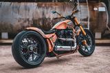Harley-Davidson FXDRS - Custom Bike - Mega Umbau! TOP! - Offers matching your search criteria