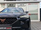 Cupra Formentor 1.5 TSI 110kW/DSG/Navi/ACC/LED/Carplay - Cupra Formentor Gebrauchtwagen