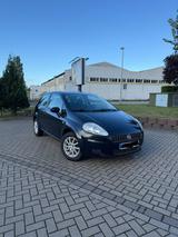 Fiat Punto - gebrauchte Fiat Punto aus dem Jahr 2009