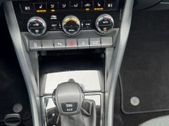 Fahrzeugabbildung Skoda Kodiaq Drive 125 4x4 AHK Navi 4x Sitzh. ACC