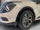 Kia Sportage GT LINE 1.6T HEV Allrad PANORAMADACH Ha - Kia Sportage: Panoramadach