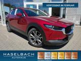 Mazda CX-30 Exclusive Matrix BOSE 360° LogIn Sitzheizg - Mazda CX-30 Tageszulassungen