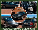 Skoda Rapid Spaceback TSI/Navi/Klimaaut/SHZ/Tempo/PDC! - Skoda Rapid in Hamburg