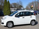 Fiat Panda 1.2 8V Pop 03/2027 TÜV - Fiat Panda: 2t
