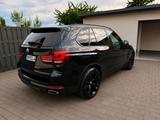 BMW X5 xDrive40d  7-Sitzer  - BMW X5: Sitze