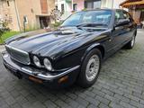 Jaguar Daimler XJ8 4.0 V8 - Jaguar Daimler: 4.0